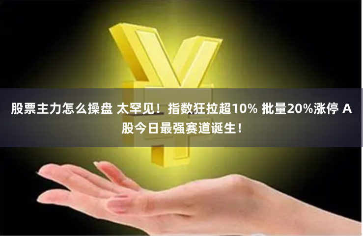 股票主力怎么操盘 太罕见！指数狂拉超10% 批量20%涨停 A股今日最强赛道诞生！