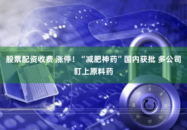 股票配资收费 涨停！“减肥神药”国内获批 多公司盯上原料药