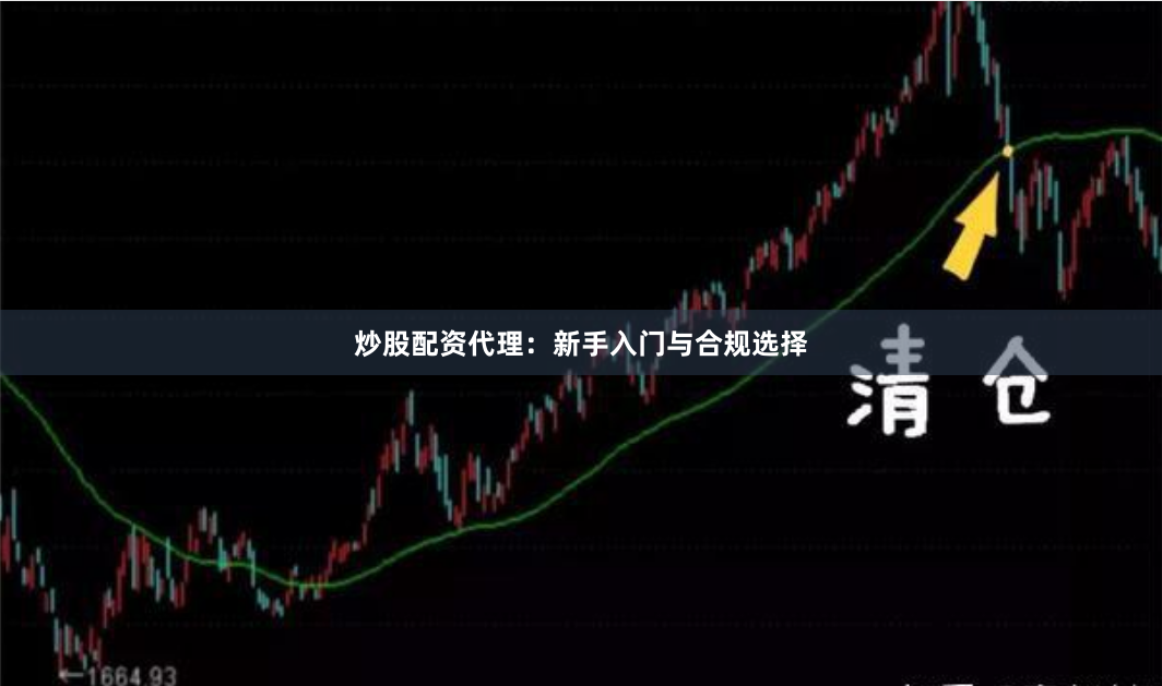 炒股配资代理：新手入门与合规选择