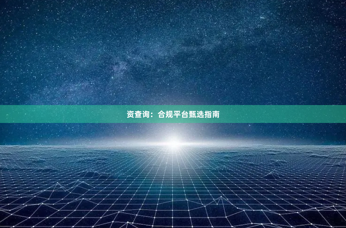 资查询：合规平台甄选指南