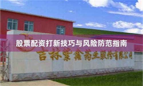 股票配资打新技巧与风险防范指南